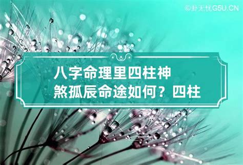 孤辰意思|命理中的孤辰和寡宿是什么意思